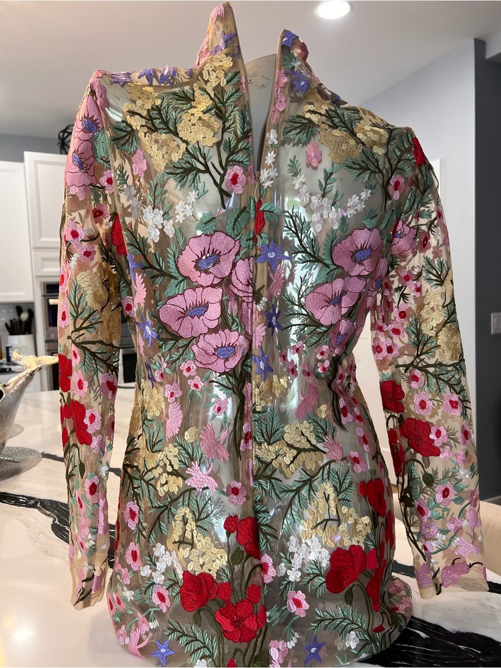 Sheer Floral Embroidered Long-Sleeve Dress - Pink, Red & beige - Picture 2 of 5